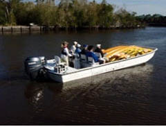 everglades area tours - guided kayak and canoe eco-tours