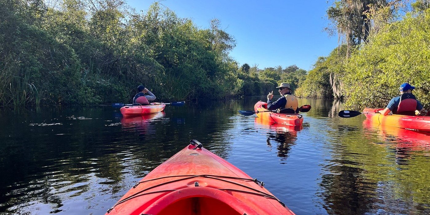 Turner River Kayak Tour
